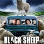 Black_sheep