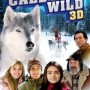 Call_of_the_wild_3D