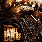 Camel_spiders