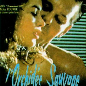 L_orchidee_sauvage