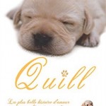 Quill_-_La_plus_belle_histoire_d_amour_entre_un_chien_et_son_maitre