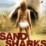 Sand_Sharks